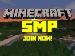 What Are Minecraft SMP Servers