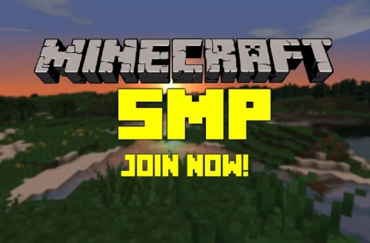 What Are Minecraft SMP Servers