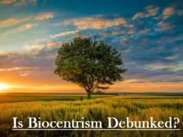 Is Biocentrism Debunked